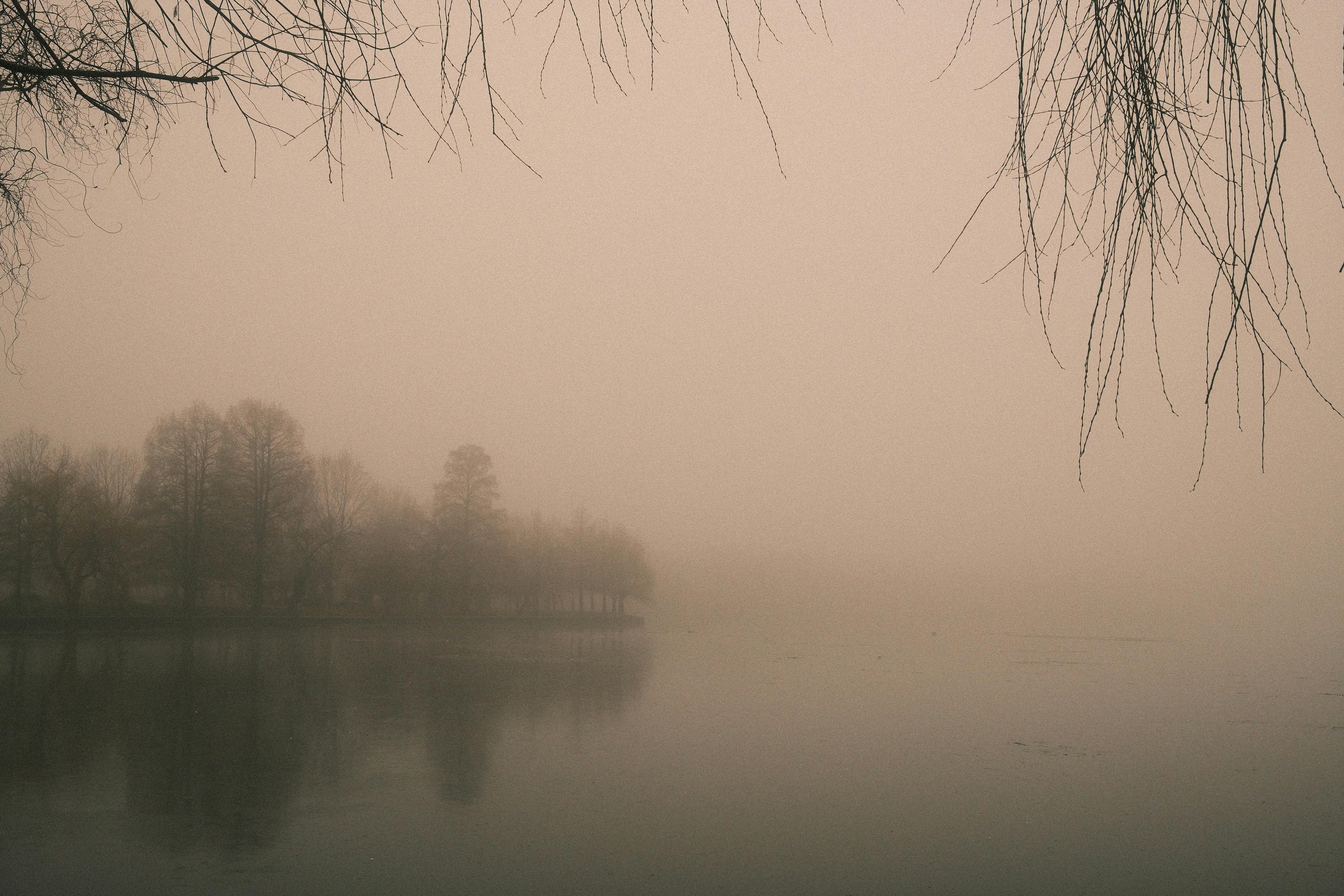 A misty lake with trees reflected in still water